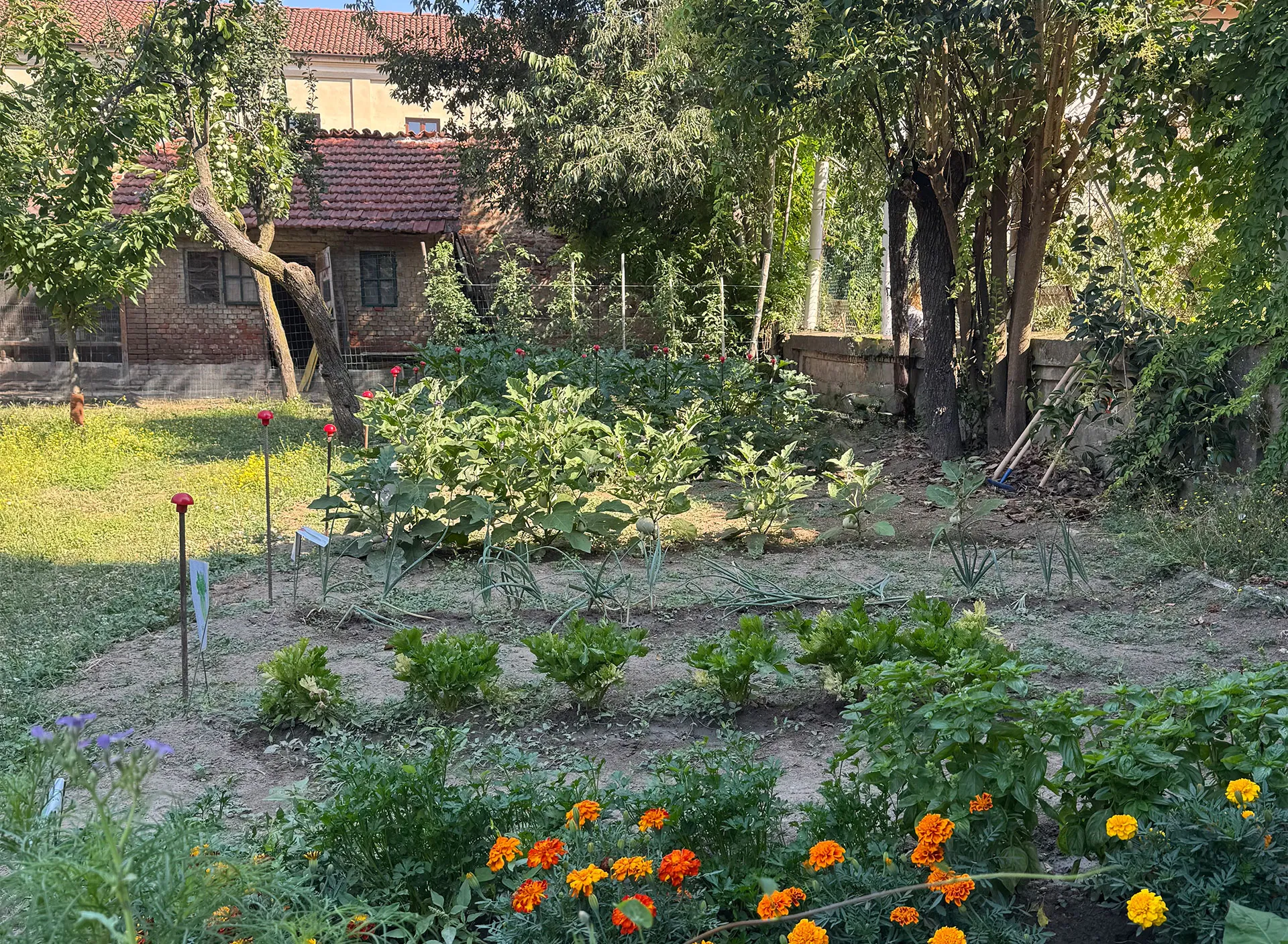 Il giardino