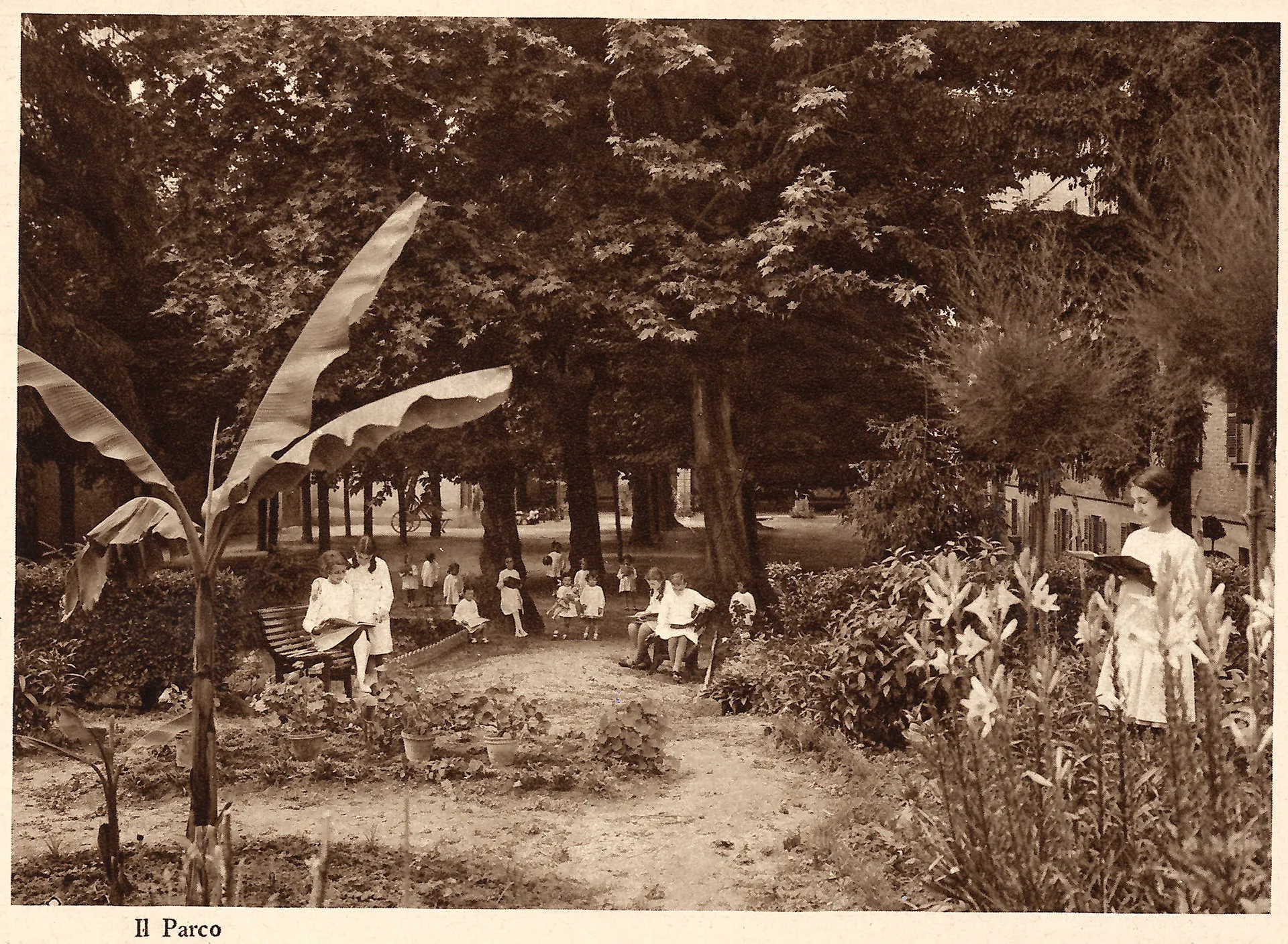 Il giardino
